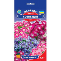 Флокс Сузір'я суміш 0.2 г, Gl Seeds