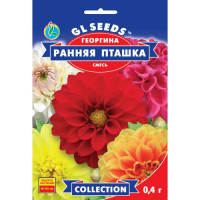 Жоржина Рання пташка, 0,4 г, GL SEEDS