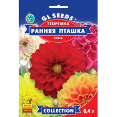 Жоржина Рання пташка, 0,4 г, GL SEEDS