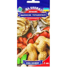 Арахіс Валенсія Українська 5 шт, GL Seeds
