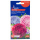 Айстра Крестелла Бордюрна, суміш, 0,3 г, GL SEEDS