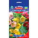 Абутилон Кімнатний клен, 0,1 г,  GL Seeds