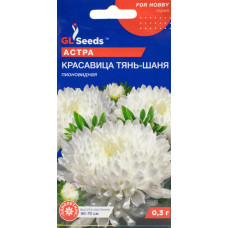 Айстра Красуня Тянь-Шаня 0.3 г, Gl Seeds