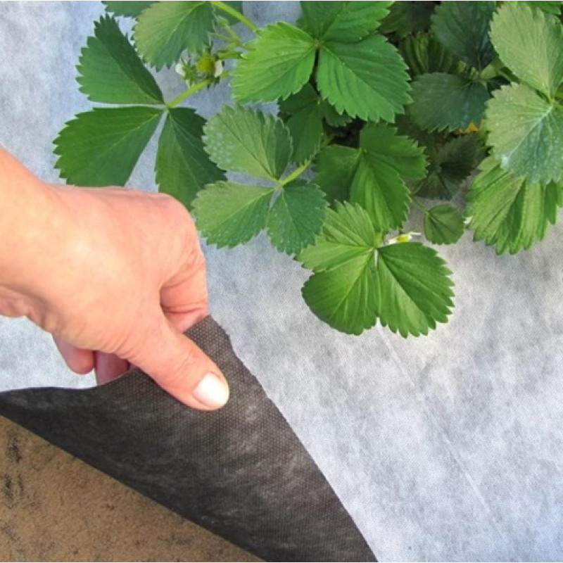 Агроволокно чорно-біле  Agreen p50 1,07*100 м