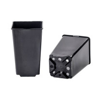 Горщик квадратний високий 5,6л HS5,6, Donkwiat, 10 шт - 20x20x23