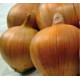 Цибуля сіянка Amfora (Амфора) 0,5 кг, Onion Top