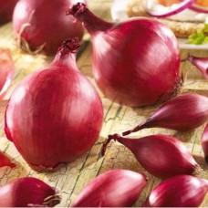 Цибуля сіянка Karmen (Кармен) 0,5 кг, Onion Top