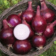 Цибуля сіянка Red Baron (Ред барон) 0,5 кг, Onion Top