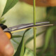 Ножиці для мікрообрізання Fiskars SP160 1063325