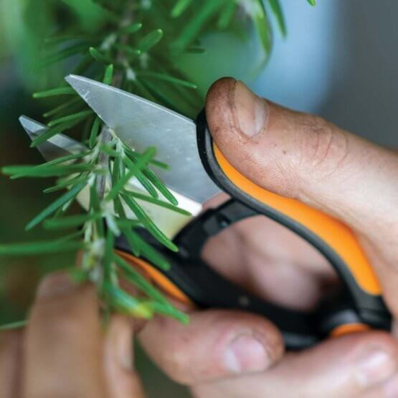 Ножиці для трав Fiskars SP-220 1063326