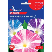 Іпомея Карнавал у Венеції 1 г, Gl Seeds