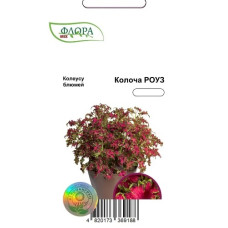 Колеус Колоча Роуз, 1000 шт, Cerny, Агропакгруп