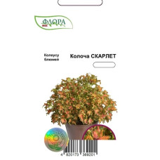 Колеус Колоча Скарлет, 10 шт, Cerny, Агропакгруп