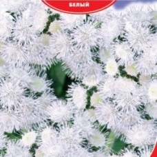 Агератум Нептун F1 білий,  0,15 г, Gl Seeds