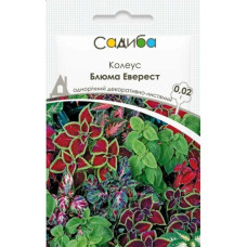Колеус блюма Еверест, суміш, 0.02 г, Садиба