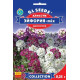 Алісум Ейфорія мікс 0.25 г, Gl Seeds