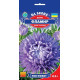 Айстра Фламір, 0,3 г,GL SEEDS