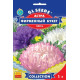 Айстра Фірмовий букет, 1 г, GL SEEDS