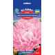 Айстра Американська красуня 0.3 г, Gl Seeds