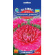 Айстра Аполонія Даймонд 0.25 г, Gl Seeds