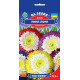 Айстра Пінг-Понг Супрім 0.3 г, Gl Seeds