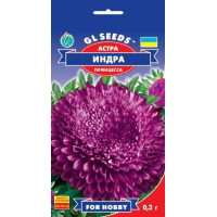 Айстра Індра пурпурна принцеса 0.3 г, Gl Seeds