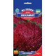 Айстра Оксамит, 0,3 г, GL SEEDS