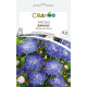 Айстра Дюшес блакитно-біла 0.2 г, Садиба