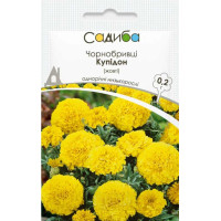 Чорнобривці Купідон жовті 0.2 г, Садиба