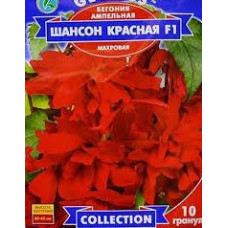 Бегония Шансон красная F1 