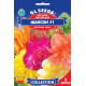 Бегонія ампельна Шансон F1 суміш 10 шт, Gl Seeds