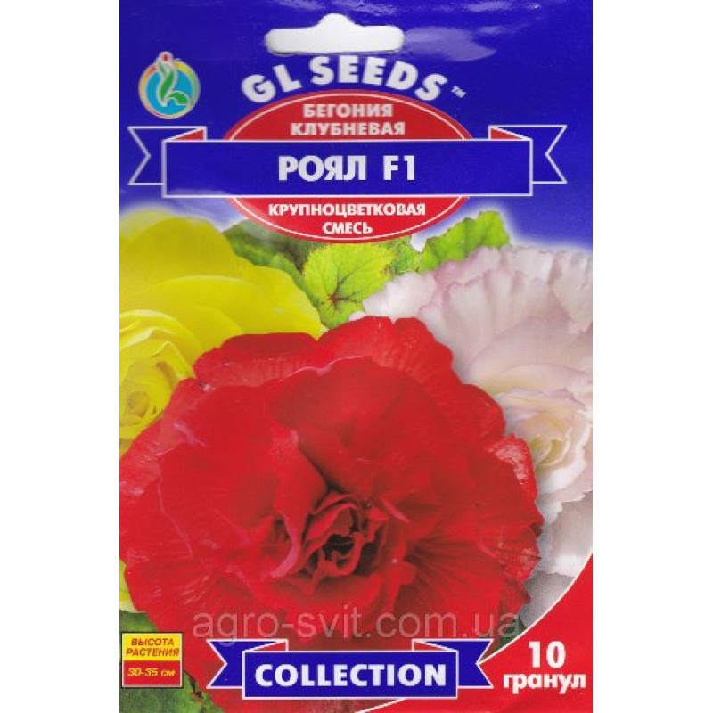 Бегонія Рояль суміш F1 10 шт, Gl Seeds