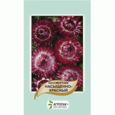 Бессмертник насыщенно-красный