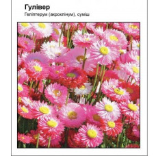 Гелиптерум Гулливер смесь
