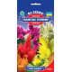 Целозія Пампас Плюме, 0,2 г, GL SEEDS