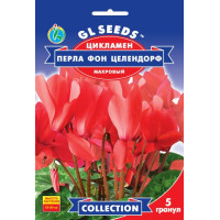 Цикламен F1 Перла фон Целендорф 5 шт, Gl Seeds