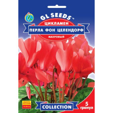 Цикламен F1 Перла фон Целендорф 5 шт, Gl Seeds