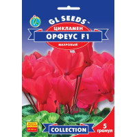 Цикламен F1 Орфеус 5 шт, Gl Seeds