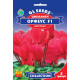 Цикламен F1 Орфеус 5 шт, Gl Seeds