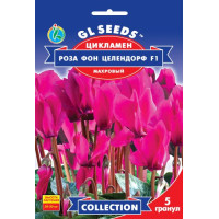 Цикламен F1 Роза фон Целендорф 5 шт, Gl Seeds