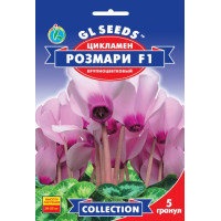 Цикламен F1 Розмарі 5 шт, Gl Seeds