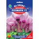 Цикламен F1 Розмарі 5 шт, Gl Seeds