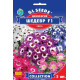 Цинерарія квітуча Шедевр F1 суміш 0.01 г, Gl Seeds