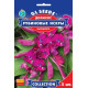 Доліхос Рубінові іскри, 5 шт, GL SEEDS
