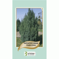 Кипарисовик Лавсона, 0,1 г, Агропакгруп