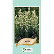 Юкка