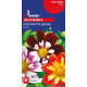 Жоржина Коларетта Денді 0,25 г, Gl Seeds