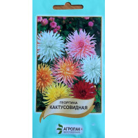 Жоржина мінлива Кактусоподібна 20 шт, Агропакгруп