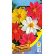 Жоржина садова суміш, 0,8 г, Тирас