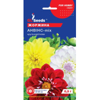 Жоржина Анвінс 0.5 г, GL Sedds